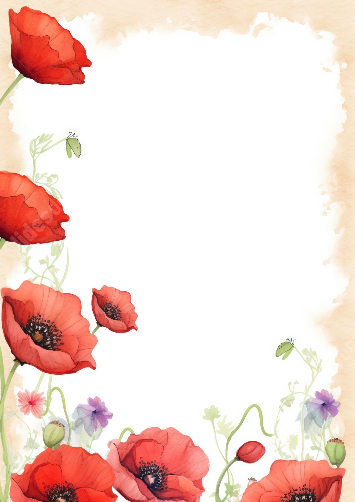 frame poppy flowers lace background word template