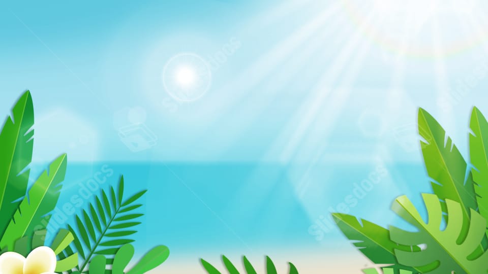 plant flower summer beautiful white nature powerpoint background