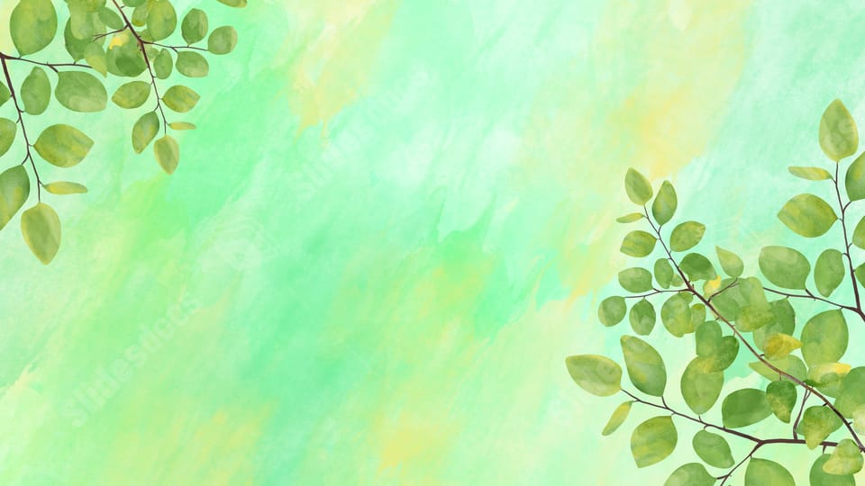 watercolor eucalyptus beautiful water green nature powerpoint background